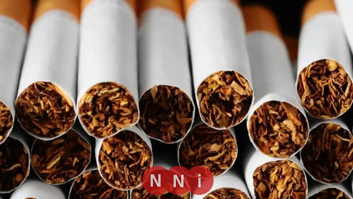 ارتفاع أسعار السجائر المستوردة بدءًا من الغد وزيادة تصل إلى 6 جنيهات للعلبة