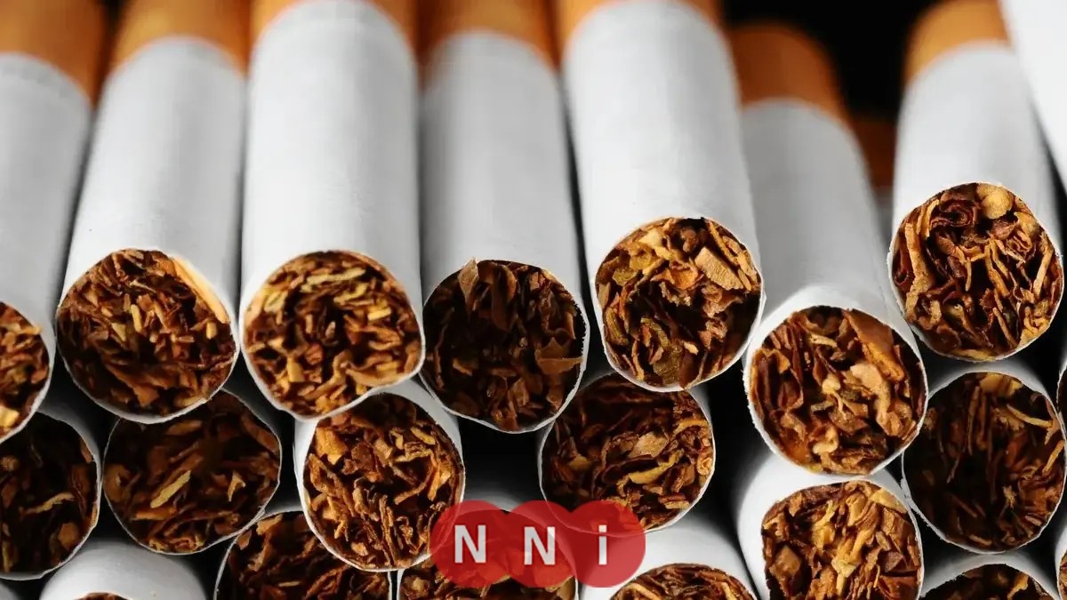 تعرف على أسباب زيادة أسعار السجائر الأجنبية في مصر وكيف تؤثر عليك