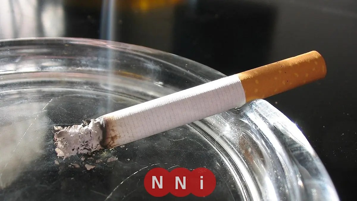 تعرف على أسعار السجائر المحليه والأجنبية اليوم الأحد 1 فبراير 2026 في الأسواق